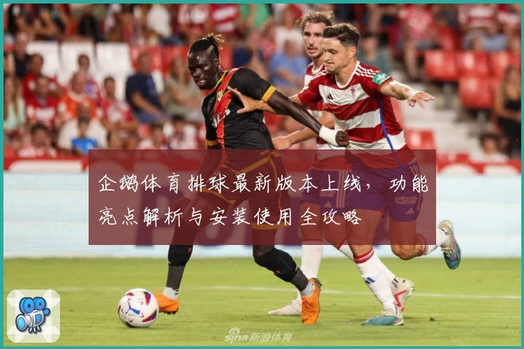 企鹅体育排球最新版本上线，功能亮点解析与安装使用全攻略