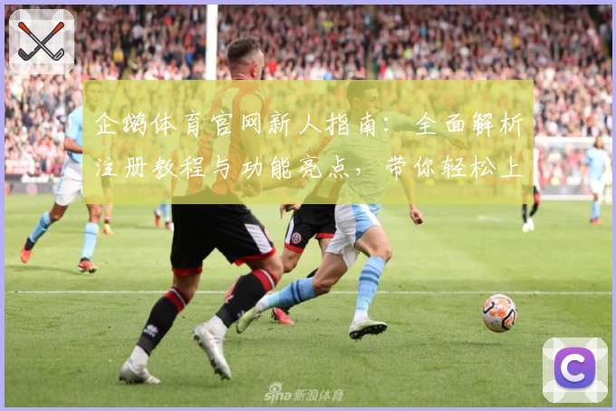企鹅体育官网新人指南：全面解析注册教程与功能亮点，带你轻松上手