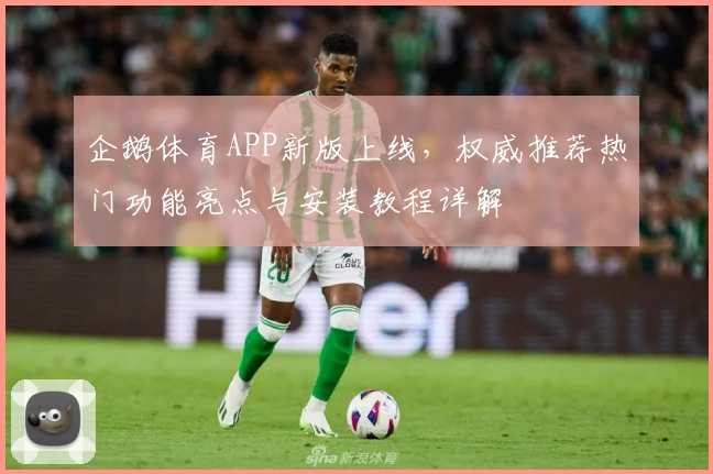 企鹅体育APP新版上线，权威推荐热门功能亮点与安装教程详解